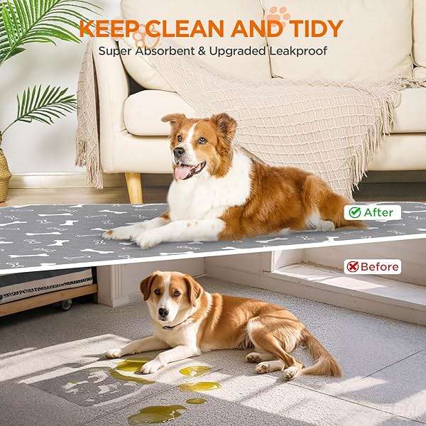 Baodan Washable Pee Pads for Dogs, 2 Pack Large Reusable Puppy Pads, Non-Slip Waterproof Dog Mats for Floors, Fast-Absorbent Whelping Pad, Playpen Mat for Crate or Indoor Use (36"x48", Gray) - Image 7