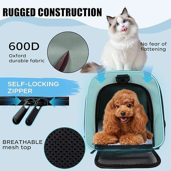 Yipincover, Cat Dog Carriers Soft-Sided, Pet Travel Carrier for Small Cats Dogs Under to15lbs, Soft-Solid Collapsible Carrier,(Medium,Green) - Image 2