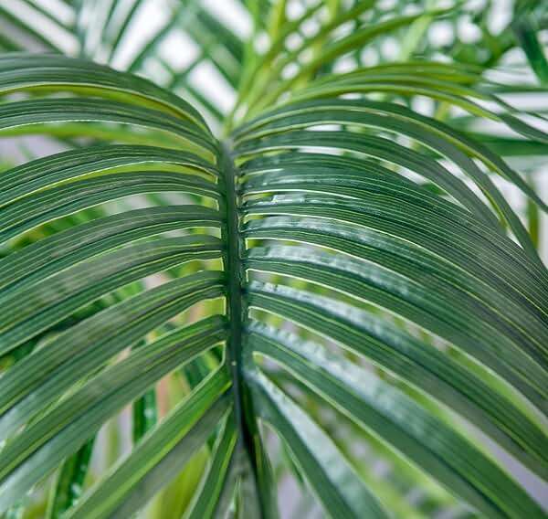 HAIHONG 6FT Artificial Palm Tree,Faux Areca Palm Plant with Real Touch Leaves and Adjustable Branches,Fake Tropical Palm Tree for Home Office Indoor Outdoor Modern Decoration - Image 4