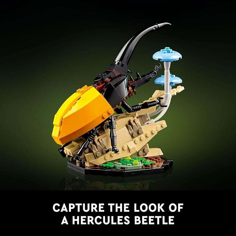 LEGO Ideas The Insect Collection, Fun Gift for Nature Lovers, with Life-Size Blue Morpho Butterfly, Hercules Beetle and Chinese Mantis Display Models, Bug Building Set and Nature Décor, 21342,18+ - Image 4