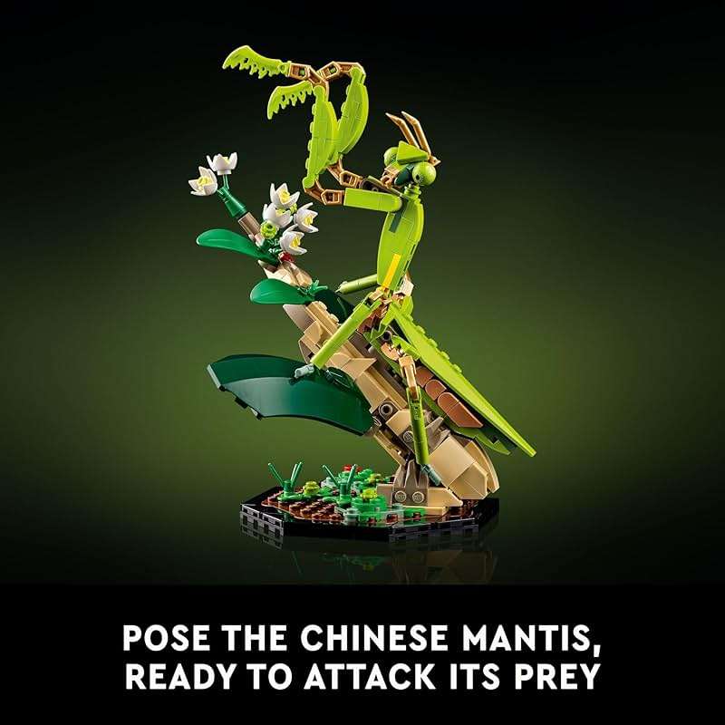 LEGO Ideas The Insect Collection, Fun Gift for Nature Lovers, with Life-Size Blue Morpho Butterfly, Hercules Beetle and Chinese Mantis Display Models, Bug Building Set and Nature Décor, 21342,18+ - Image 5