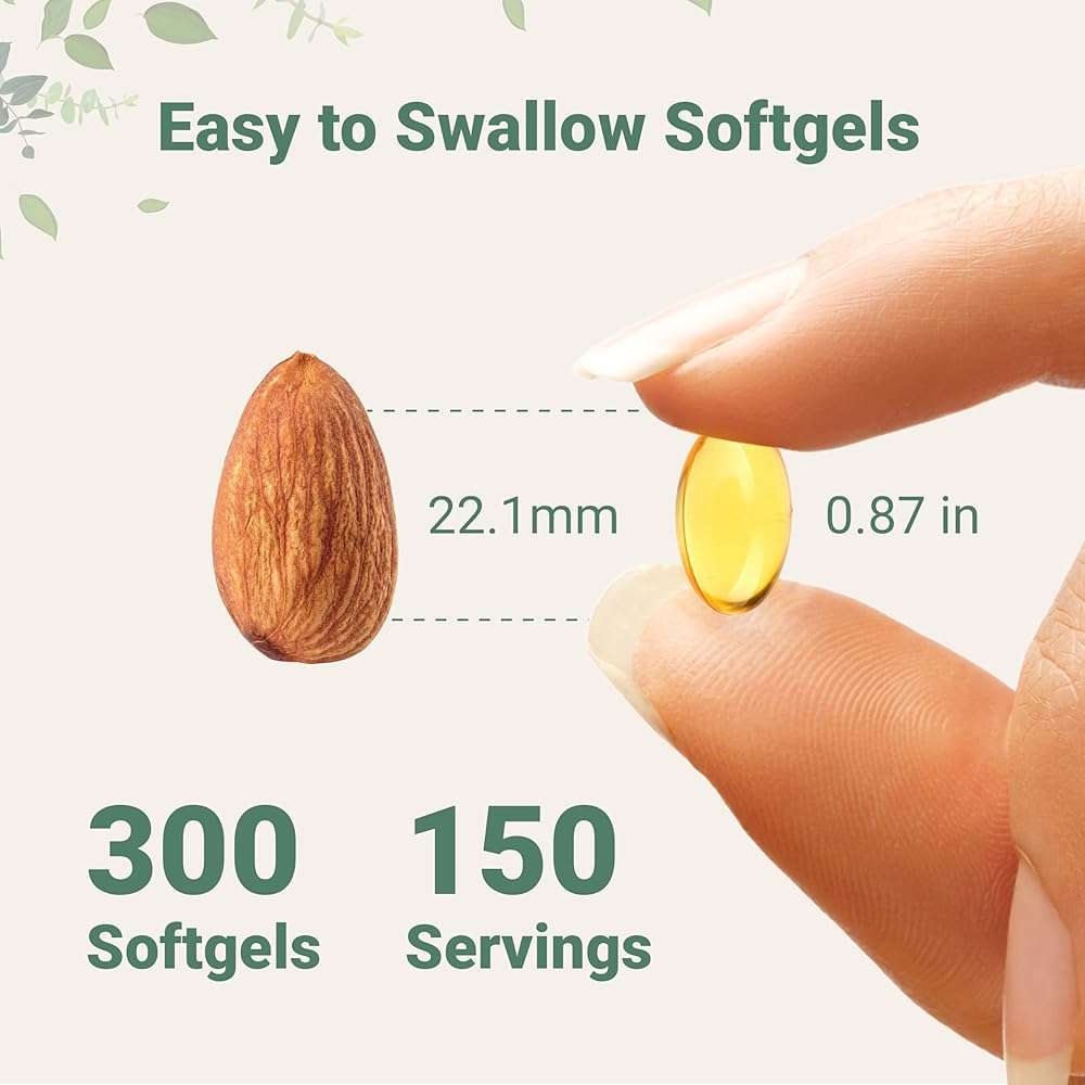 Micro Ingredients Oil of Oregano Softgels, 300 Count | 2 in 1 Formulated with Black Seed Oil | 4X Strength Carvacrol & Thymoquinone | Plant Based, Non-GMO - Image 3