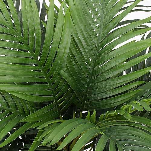 FLOWORLD Palm Tree Artificial Tropical Plant 6FT Tall Faux Plants Indoor Fake Floor Plants Decorative Palm Tree House Large Office Plant Artificial Palm Trees for Home Decor… - Image 3