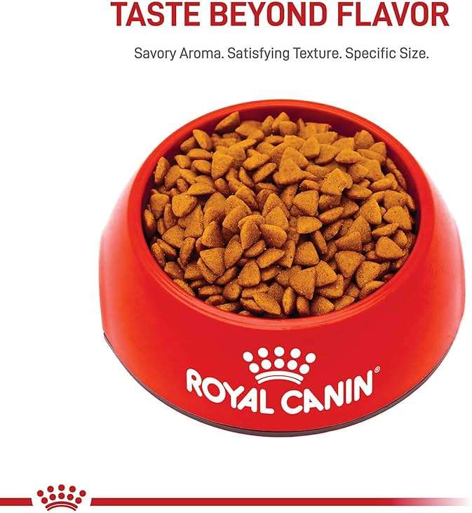 Royal Canin Size Health Nutrition Small Puppy Dry Dog Food, 14 lb Bag - Image 3