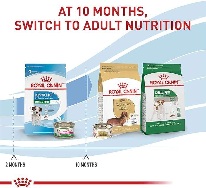 Royal Canin Size Health Nutrition Small Puppy Dry Dog Food, 14 lb Bag - Image 7