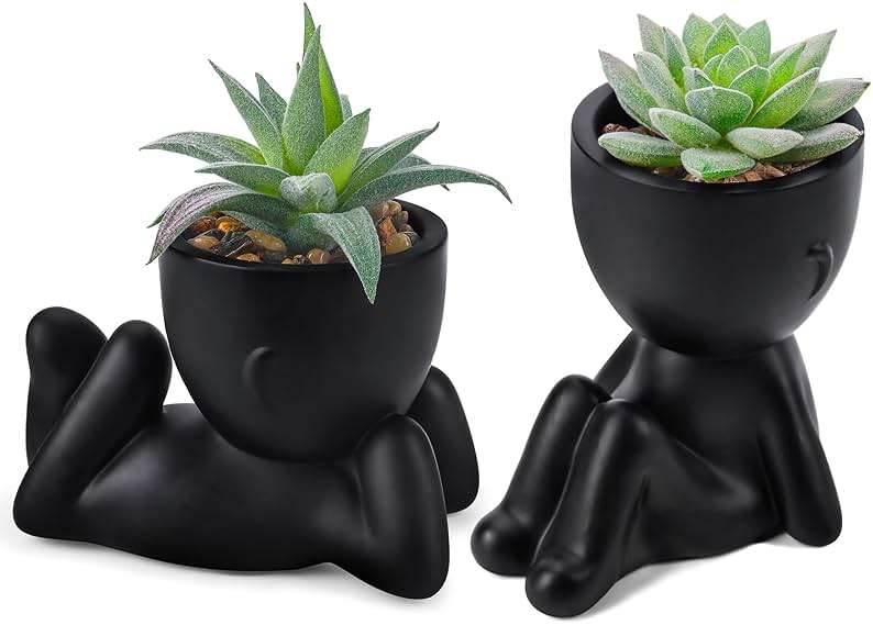 Der Rose Set of 2 Fake Plants Artificial Succulent Plants for Office Desk Accessories Black Bathroom Home Room Aesthetic Decor Indoor - Image 1