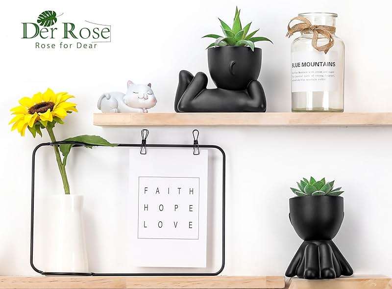 Der Rose Set of 2 Fake Plants Artificial Succulent Plants for Office Desk Accessories Black Bathroom Home Room Aesthetic Decor Indoor - Image 6