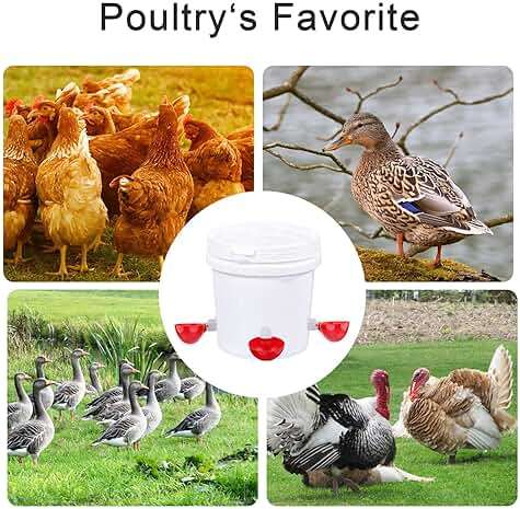 Darcvds Professional Chicken Waterer Cups, 8 Packs Large Chicken Water Feeder, Tee Fittings Poultry Waterer Suitable for Duck, Chicks, Goose, Turkey, Bunny and Bird with Mounting Hole Opener - Image 6