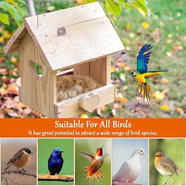 Sukh Bird Nesting Material - Bird Nests Bedding Hummingbird Nesting Material Mixing Canary Nesting Material Finch Nesting Material Parakeet Nesting Materials for Cage,Gardens,Tree Trunks (2) - Image 5