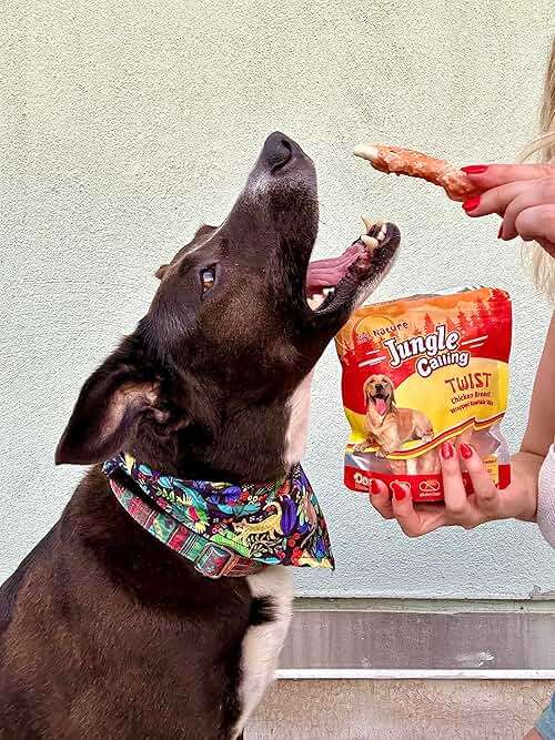 Jungle Calling Dog Treats, Chicken Wrapped Rawhide Sticks for Dogs, Delicious and Nutritious Training Reward Treats and Dog Chews Snacks, 6 oz - Image 5