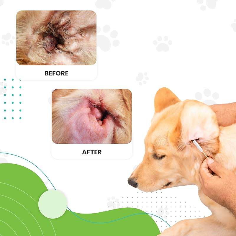 We Love Doodles Dog Ear Cleaning Solution Kit | Prevent Infections | Natural | Made in USA | Ear Drops for Dogs | Itching, Deordoring, Yeast & Mites Infection (Serum + 25 Swabs) - Image 5