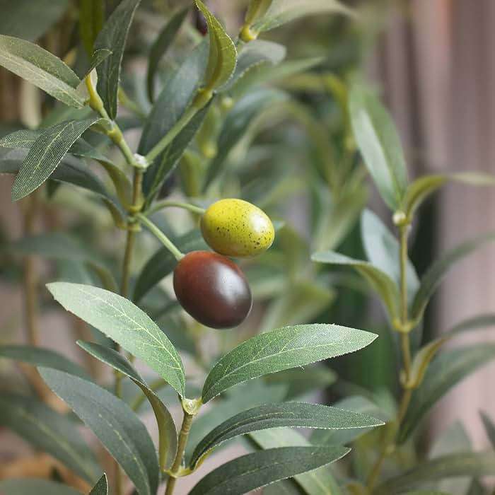 Bellacat Faux Olive Tree 6ft，Olive Trees Artificial Indoor with Natural Wood Trunk and Realistic Leaves and Fruits. 6 Feet(72in) Fake Olive Tree for Home House Office Décor. - Image 2