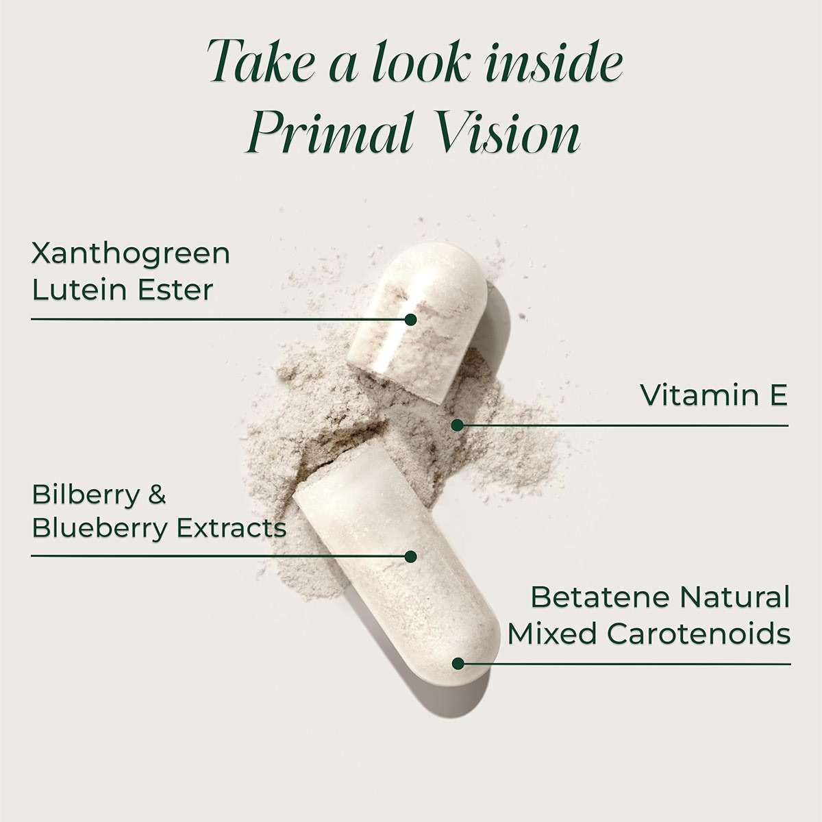 Primal Harvest Primal Vision with Lutein, Zeaxanthin, Vitamin A and Zinc for Eye Health, Blue Light Support and Visual Clarity - Image 3