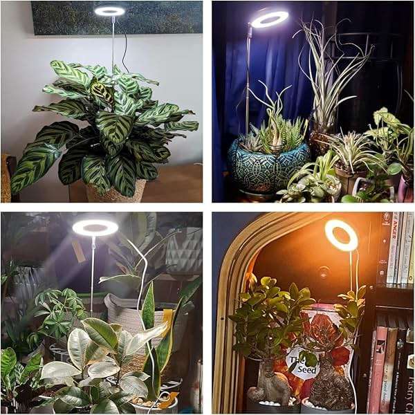 Aokrean Plant Grow Light, 48 LEDs Full Spectrum Grow Lights for Indoor Plants, Height Adjustable Small Halo Grow Light with Base, 3 Optional Spectrums, Auto Timer 3/9/12Hrs, 10 Brightness, 3 Pack - Image 2