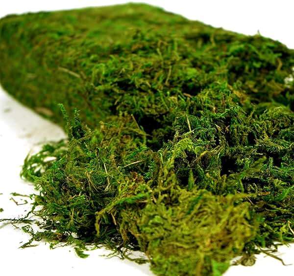 USMOLA Artificial Moss, 16OZ Fake Moss for Crafts Table Centerpieces Fairy Garden Wedding Party Decor, Faux Grass for Potted Plants, 455gr (Fresh Green) - Image 1