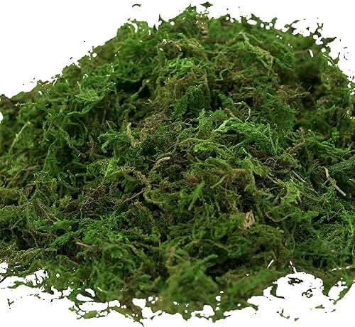 USMOLA Artificial Moss, 16OZ Fake Moss for Crafts Table Centerpieces Fairy Garden Wedding Party Decor, Faux Grass for Potted Plants, 455gr (Fresh Green) - Image 4