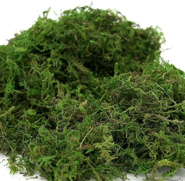 USMOLA Artificial Moss, 16OZ Fake Moss for Crafts Table Centerpieces Fairy Garden Wedding Party Decor, Faux Grass for Potted Plants, 455gr (Fresh Green) - Image 5