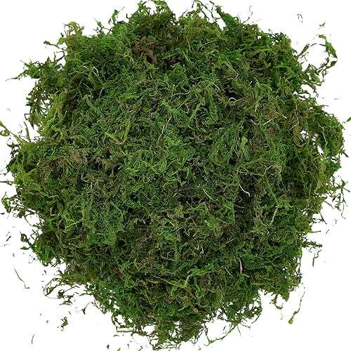 USMOLA Artificial Moss, 16OZ Fake Moss for Crafts Table Centerpieces Fairy Garden Wedding Party Decor, Faux Grass for Potted Plants, 455gr (Fresh Green) - Image 6