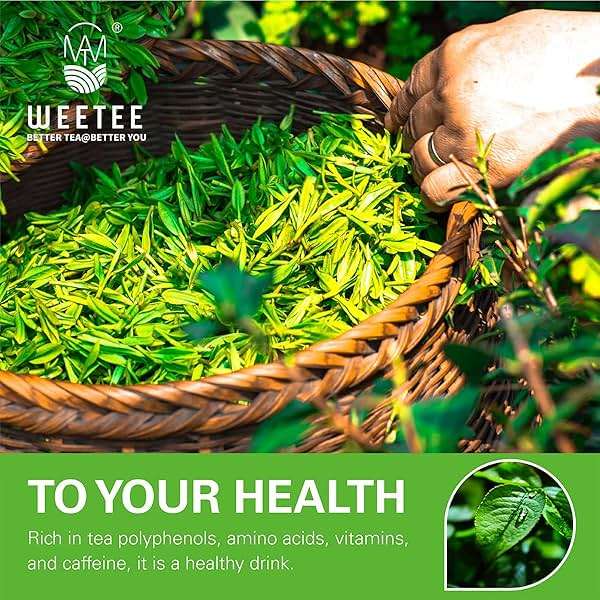 WT WEETEE Organic Green Tea Bags, Organic Pure Green Tea 100 Count, Super Antioxidant | Resealable Kraft Bag | Brew Hot or Iced - Image 3