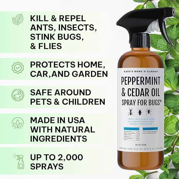 Kate's Home & Garden Peppermint Oil Spray for Bugs, Ants, Insects, Spiders, Roaches, Stink Bug. Pesticide and Insecticide Indoor Repellent Pest Control with Cedar Oil (16oz, Natural, Non Toxic) - Image 2