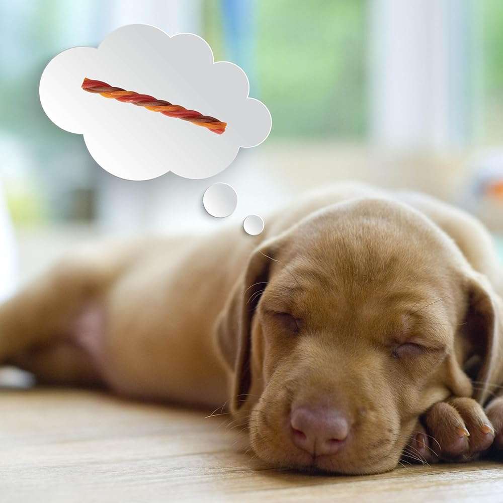 DreamBone Triple Flavor Twisties Dog Treats, Daily Rawhide-Free Chew, Digests Safely, with Real Protein, Beef, Pork, Chicken and Veggies, 25 Count - Image 6