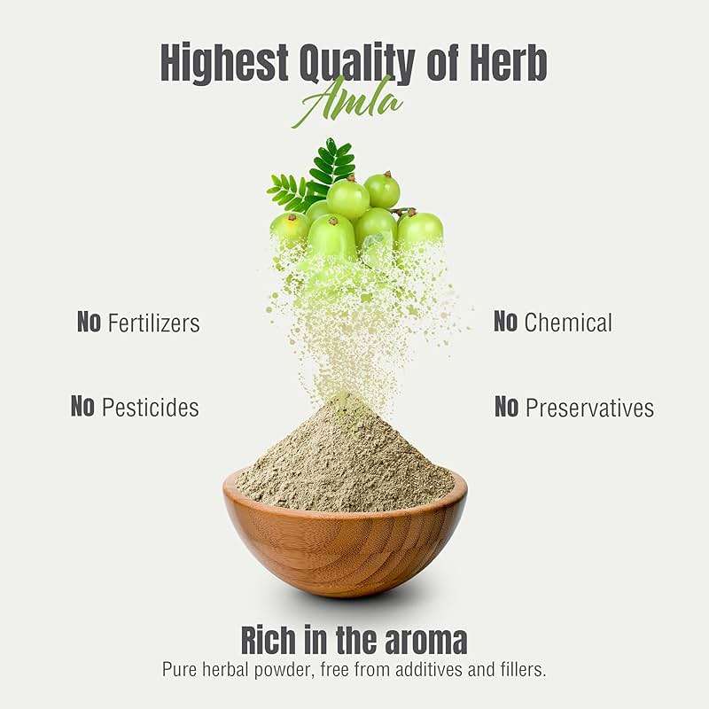 Herbsforever Amla Powder | Phyllanthus Emblica | Rich in Vitamin C & Natural Antioxidants | Supports Healthy Immunity & Digestion | Vegan, Non-GMO Superfood | 230g (8.1 oz) (230_GMS) - Image 7