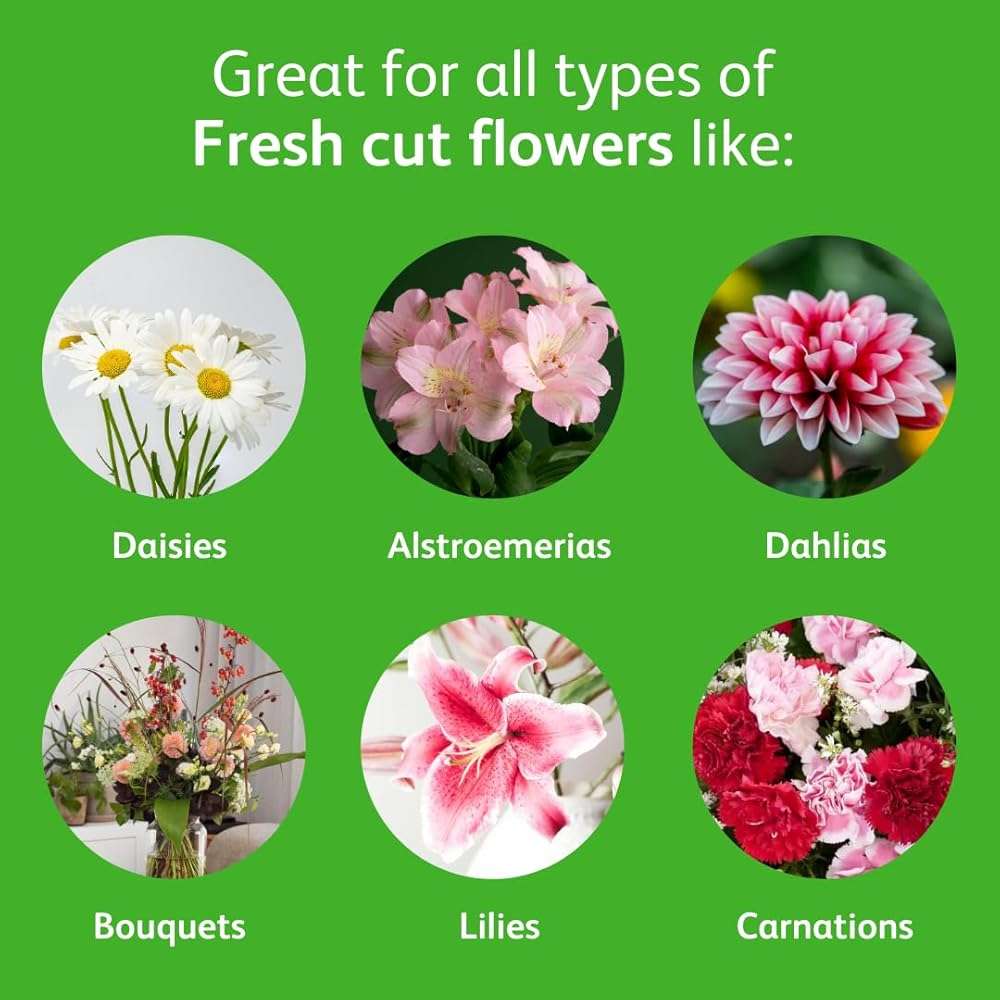 Chrysal Cut Flower Universal Food (10 ml/L Bottle) — Increase the Flower Boost with Floral Supplies for Fresh Flowers — Flower Arrangements Supplies — Ideal Florist Supplies — Flower Food - Image 4