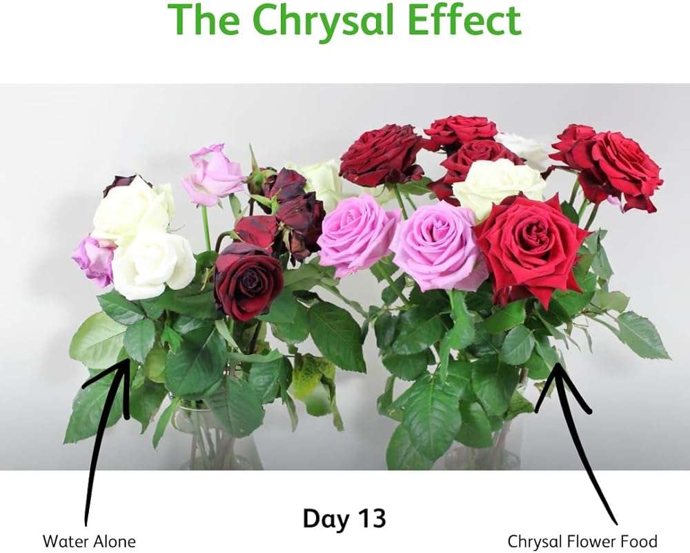Chrysal Cut Flower Universal Food (10 ml/L Bottle) — Increase the Flower Boost with Floral Supplies for Fresh Flowers — Flower Arrangements Supplies — Ideal Florist Supplies — Flower Food - Image 9