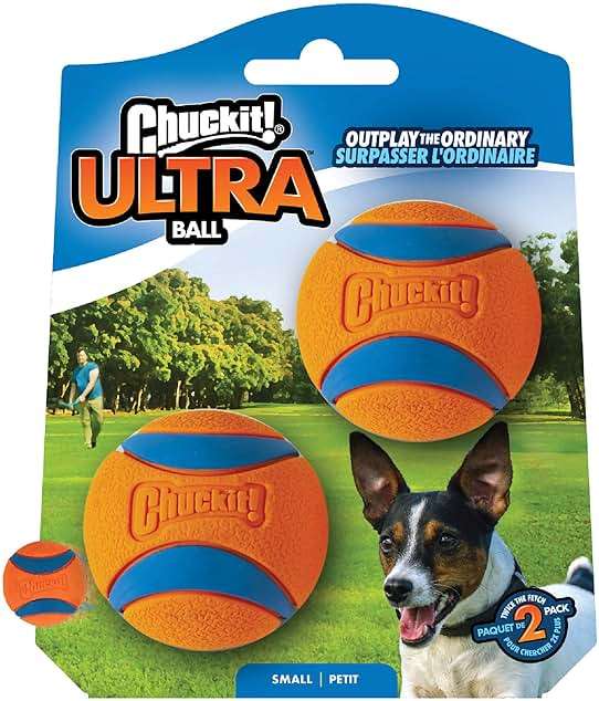 Chuckit! Ultra Ball Dog Toy (Small) and ChuckIt! Sport 14S Dog Ball Launcher - Image 6