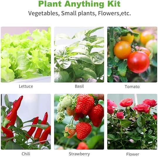 Oliz 50 Pack Hydroponic Grow Baskets with 51PCS Seed Pod Labels Stickers, Replacement Garden DIY Accessories for Most Hydroponic Growing System - Image 7