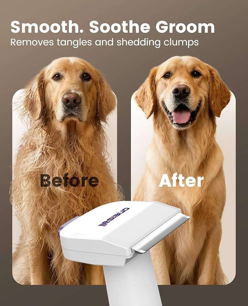 oneisall Dog Grooming Vacuum Kit: 15000Pa Shedding Brush with Grooming Tools, 3 Suction Low Noise, for Pet Thick and Undercoat, 1.5L Dust Cup, Dog Hair Vacuum, Home Cleaning, LM5 - Image 5