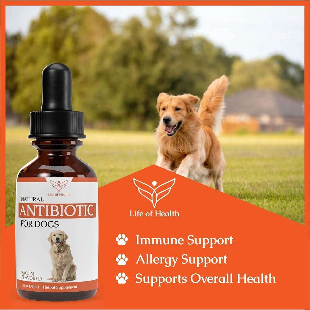 Natural Antibiotics for Dogs | Dog Antibiotics | Dog Ear Infection Treatment | Dog Itch Relief | Yeast Infection Treatment for Dogs | Dog Antibiotic | Pet Antibiotics | Antibiotic for Dogs | 1 oz - Image 3