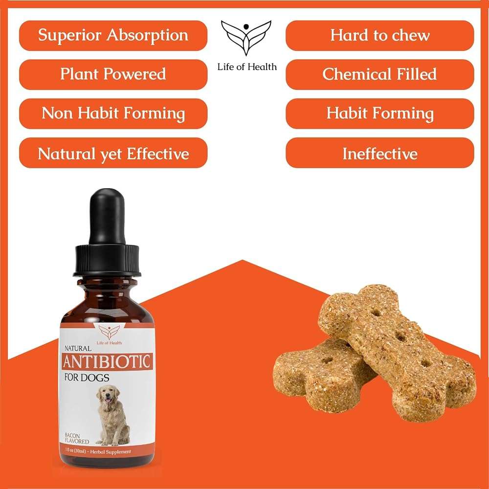 Natural Antibiotics for Dogs | Dog Antibiotics | Dog Ear Infection Treatment | Dog Itch Relief | Yeast Infection Treatment for Dogs | Dog Antibiotic | Pet Antibiotics | Antibiotic for Dogs | 1 oz - Image 4
