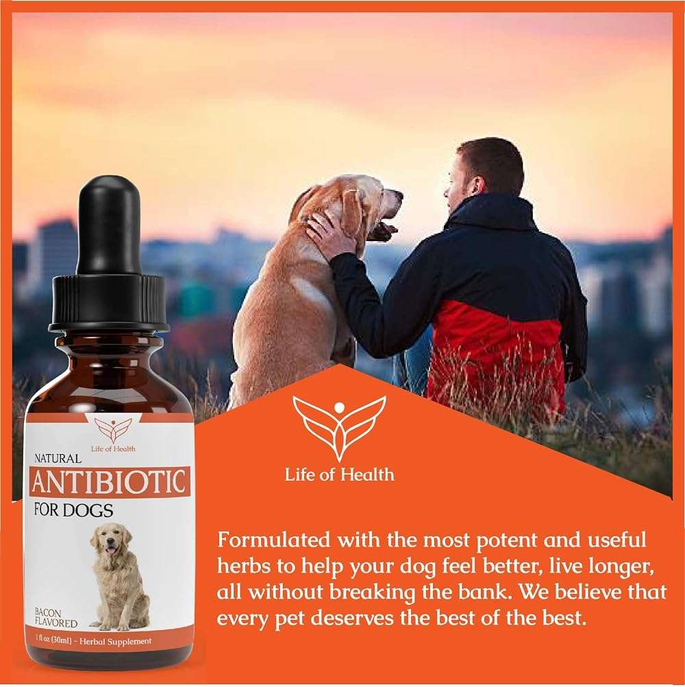 Natural Antibiotics for Dogs | Dog Antibiotics | Dog Ear Infection Treatment | Dog Itch Relief | Yeast Infection Treatment for Dogs | Dog Antibiotic | Pet Antibiotics | Antibiotic for Dogs | 1 oz - Image 5