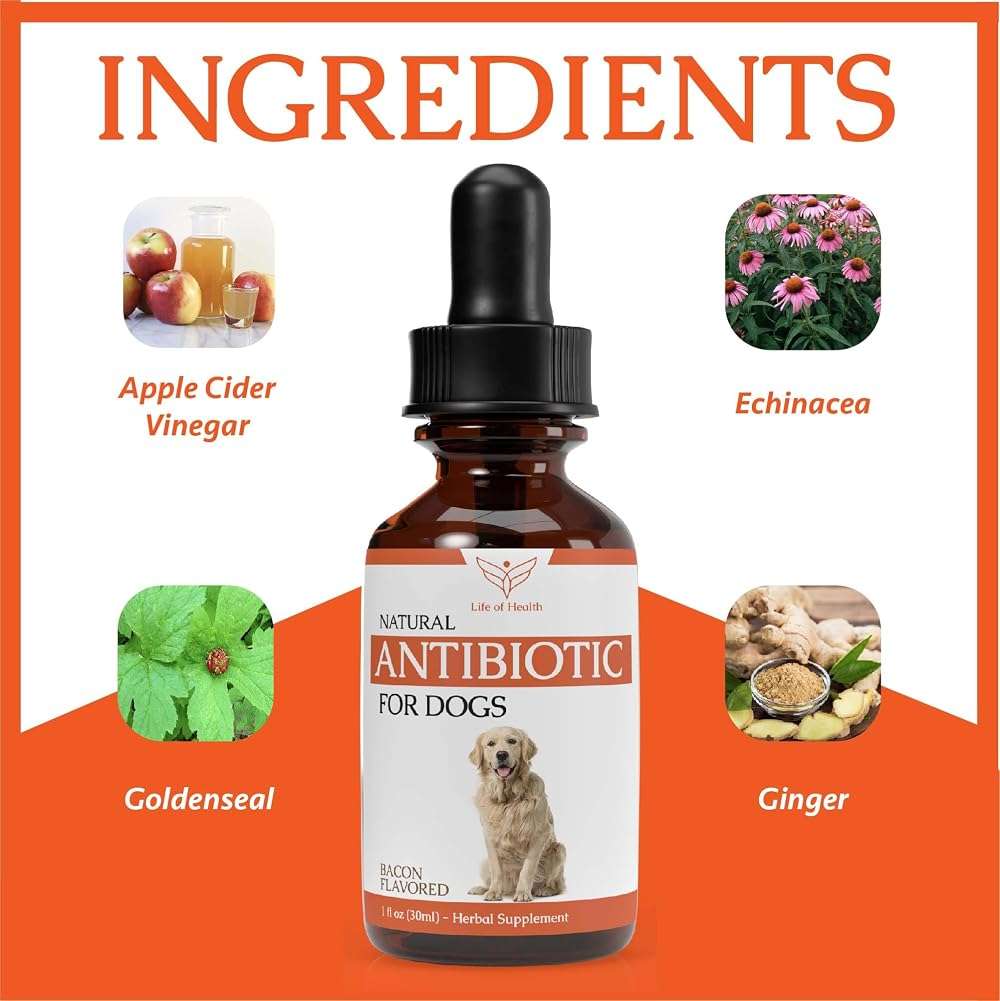 Natural Antibiotics for Dogs | Dog Antibiotics | Dog Ear Infection Treatment | Dog Itch Relief | Yeast Infection Treatment for Dogs | Dog Antibiotic | Pet Antibiotics | Antibiotic for Dogs | 1 oz - Image 7