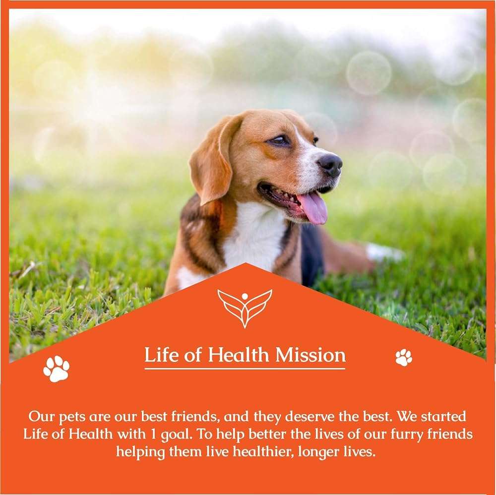 Natural Antibiotics for Dogs | Dog Antibiotics | Dog Ear Infection Treatment | Dog Itch Relief | Yeast Infection Treatment for Dogs | Dog Antibiotic | Pet Antibiotics | Antibiotic for Dogs | 1 oz - Image 8