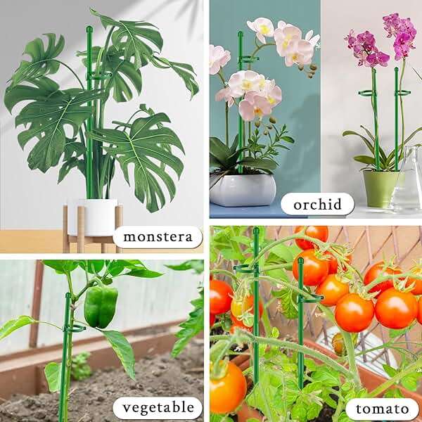 Plant Stakes 17inch &11inch SupKing Adjustable Length Plant Support Stake 16Pcs Orchid Stick with Clips for Indoor Outdoor,Garden Pole for Potted Tomato Amaryllis Vegetables Comes with 20 Ties (Green) - Image 6