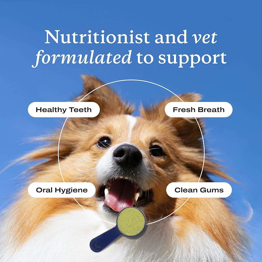 PetLab Co. ProBright Dental Powder - Dog Breath Freshener - Teeth Cleaning Made Easy – Targets Tartar & Bad Breath - Formulated for Small Dogs - Packaging May Vary - Image 5