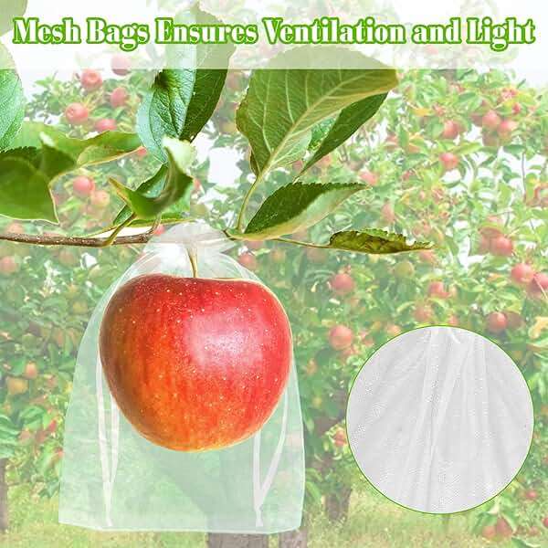Morcheiong 60pcs Reusable Netting Mesh Bags - 6" x 8", Garden Fruit Protection with Drawstring (White) - Image 4