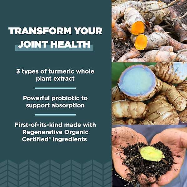 Ancient Nutrition Regenerative Organic Certified Turmeric Capsules, Once Daily, Use as a Joint Supplement and Supports Inflammation, Gluten Free, Paleo and Keto Friendly, 90 Count - Image 4