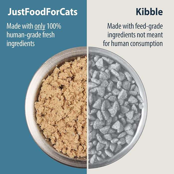 JustFoodForDogs Frozen Fresh Cat Food, Human Grade Wet Cat Food Pate, Fresh Pet Meals and Toppers, Grain Free, No Preservatives, High Protein, Limited Ingredient Gravy, Fish & Chicken 18oz - 7 Pack - Image 3