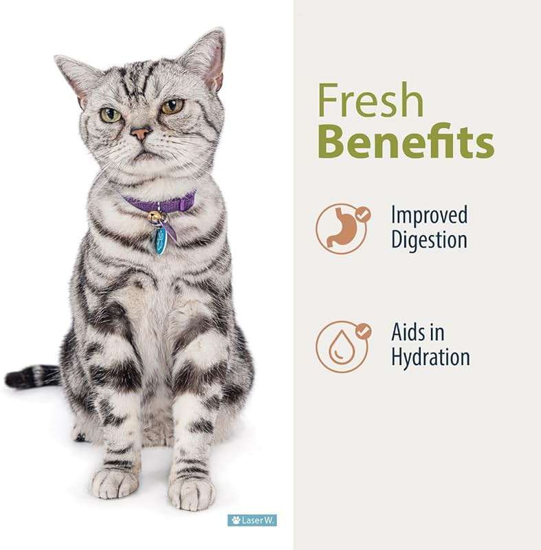 JustFoodForDogs Frozen Fresh Cat Food, Human Grade Wet Cat Food Pate, Fresh Pet Meals and Toppers, Grain Free, No Preservatives, High Protein, Limited Ingredient Gravy, Fish & Chicken 18oz - 7 Pack - Image 4