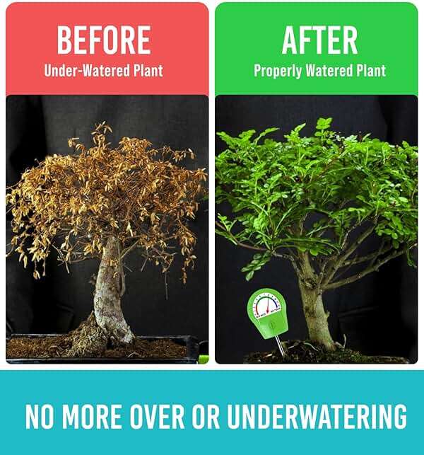 GROWIT Plant Moisture Meter - Accurately Tells You When to Water Your Plants - Perfect Stocking Stuffers Gift - No Battery Needed - Image 7