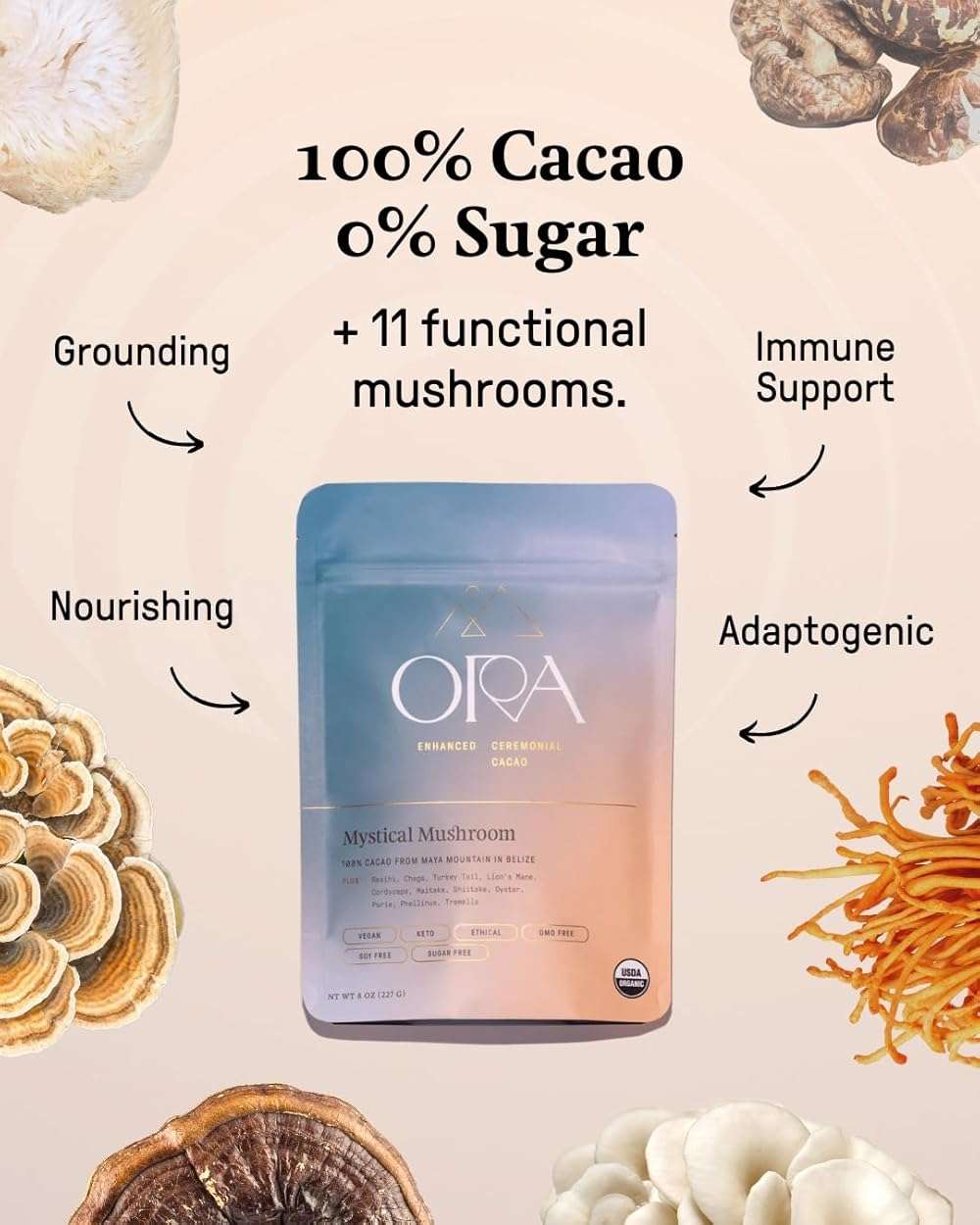 ORA Ceremonial Cacao - Mystical Mushroom - Organic 100% Cacao with Lion's Mane, Reishi, Chaga - Adaptogenic - Ethical - High Flavanol - Unsweetened - Heavy Metals Tested - 8oz - Image 3