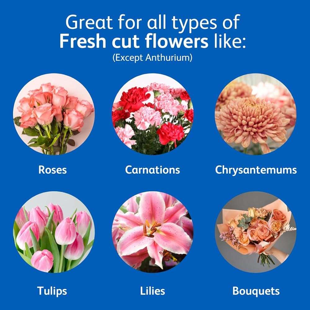 Chrysal Full Bloom Liquid Flower Food - Clear, Concentrated for Flower Arrangements & Bouquets - Mix with Water - Ideal Florist Supplies & at-Home Use - 500mL Bottle (500ml) (2 Pack) - Image 4