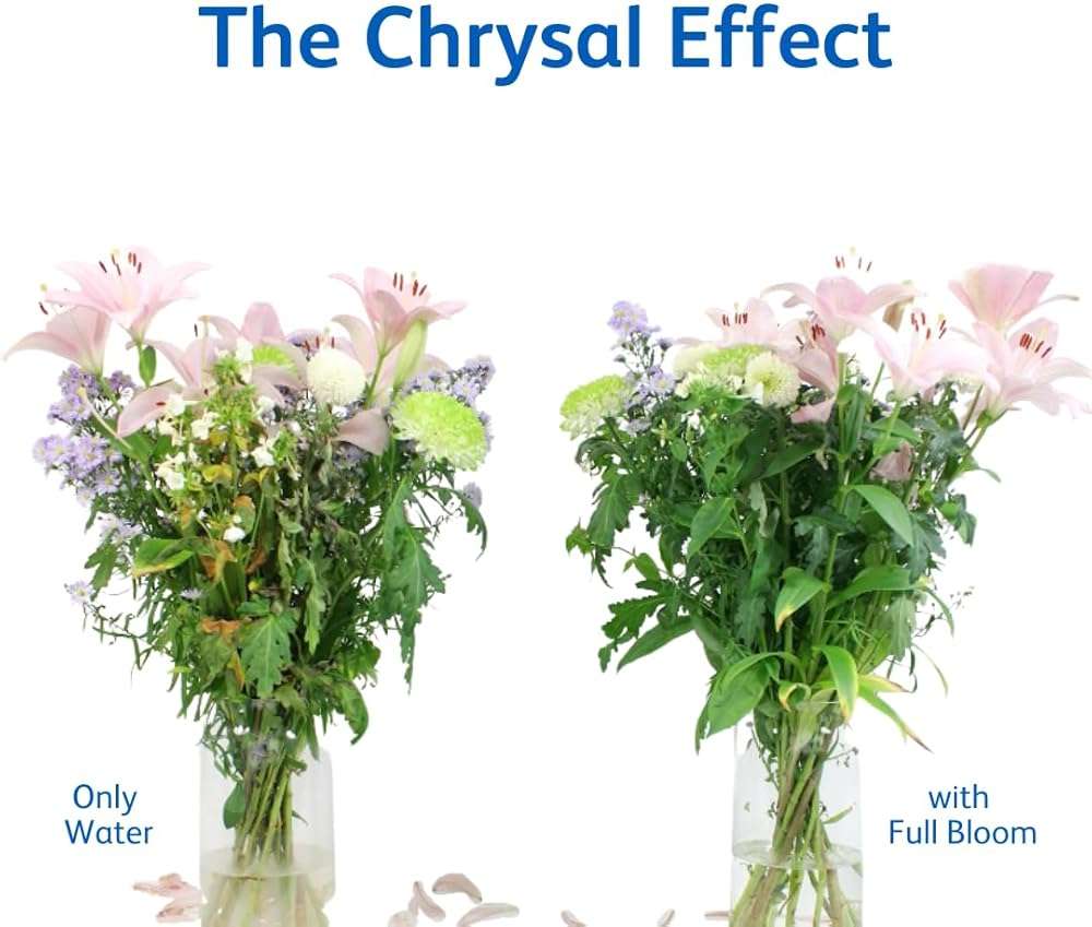 Chrysal Full Bloom Liquid Flower Food - Clear, Concentrated for Flower Arrangements & Bouquets - Mix with Water - Ideal Florist Supplies & at-Home Use - 500mL Bottle (500ml) (2 Pack) - Image 9