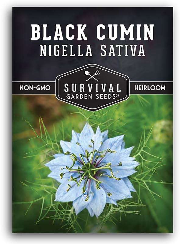 Survival Garden Seeds Nigella Sativa Black Cumin Seeds for Planting, 1 Pack | Black Seed Medicinal Tea Herb & Culinary Spice, Pollinator Flowers & Decorative Pods, Heirloom Non-GMO - Image 1
