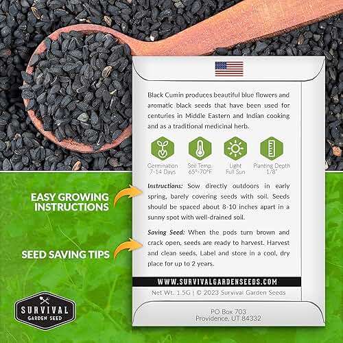 Survival Garden Seeds Nigella Sativa Black Cumin Seeds for Planting, 1 Pack | Black Seed Medicinal Tea Herb & Culinary Spice, Pollinator Flowers & Decorative Pods, Heirloom Non-GMO - Image 2