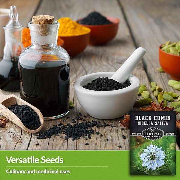 Survival Garden Seeds Nigella Sativa Black Cumin Seeds for Planting, 1 Pack | Black Seed Medicinal Tea Herb & Culinary Spice, Pollinator Flowers & Decorative Pods, Heirloom Non-GMO - Image 4