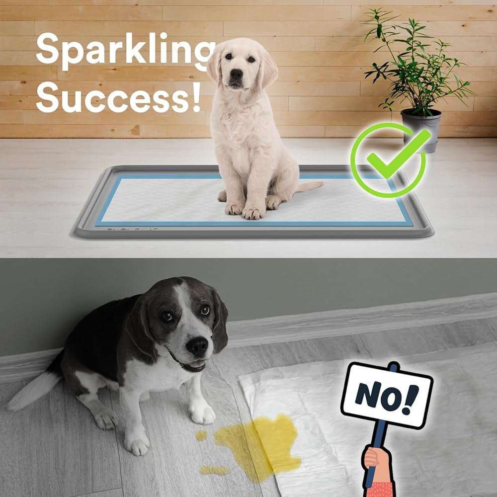 Pee Pad Tray Holder for Dogs - Fits Up to 25 x 25 in. Square Potty Training Pads No Spill Raised Lip High Edge Silicone Mat, Extra Thick and Non-Slip for Indoor Floor Protection (Large, Grey) | eenk - Image 2